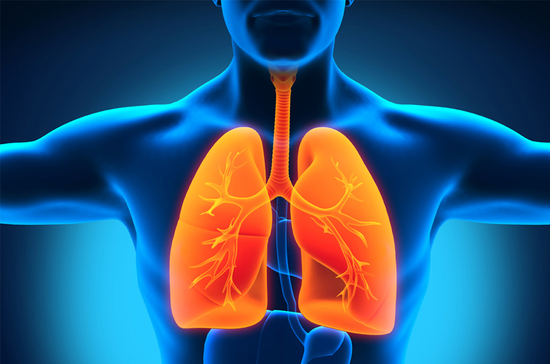 Milhões de fumantes e ex-fumantes podem ter doenças pulmonares não diagnosticadas